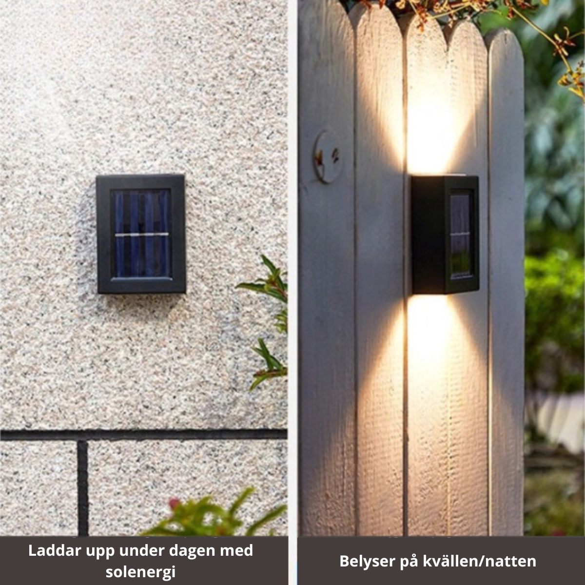 Éclairez Votre Jardin ou Allée Sans Fil avec des Lampes LED Solaires de Qualité