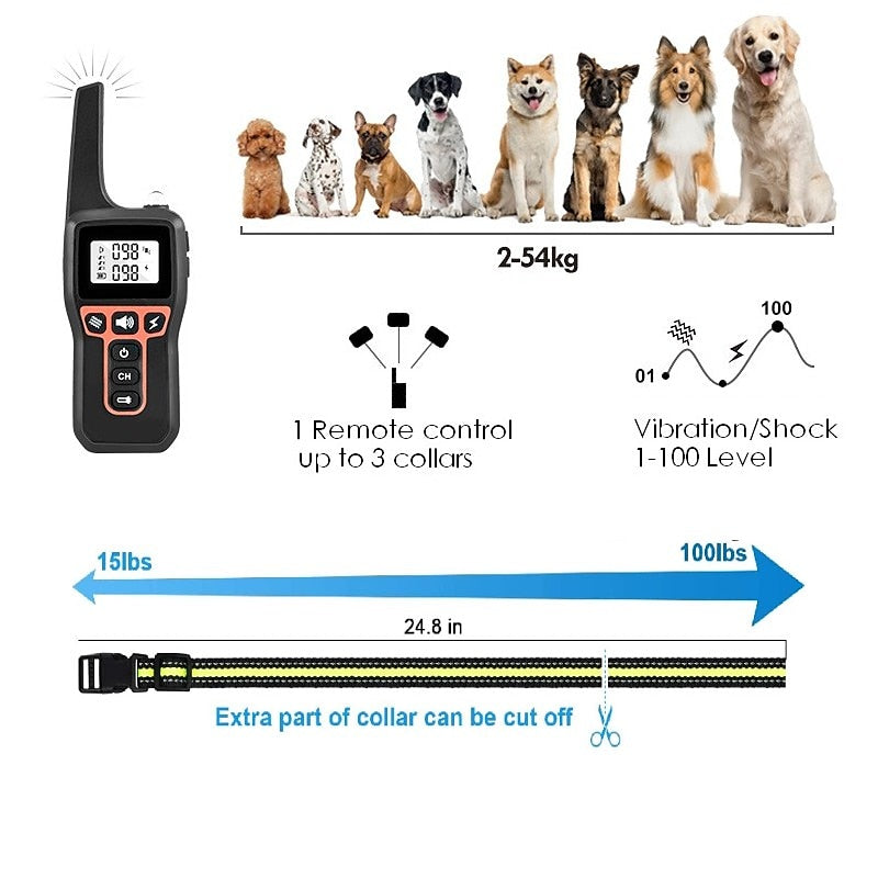 Collier de Dressage pour Chien - Étanche, Rechargeable et à Longue Portée